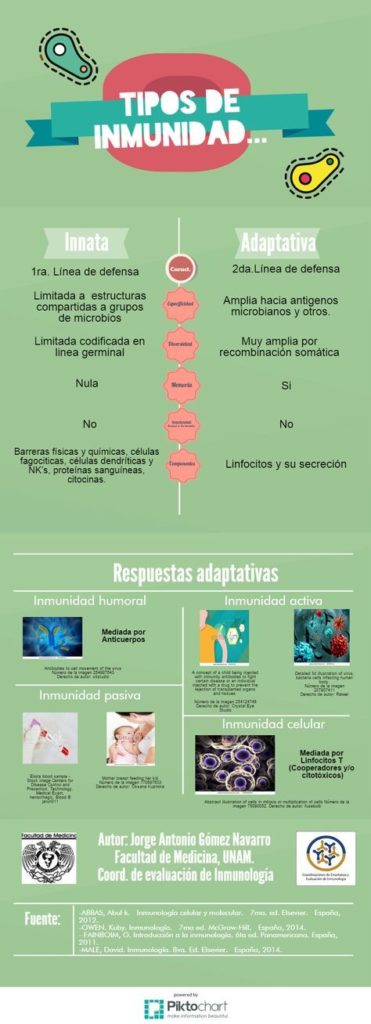 Gastritis Severa Tratamiento