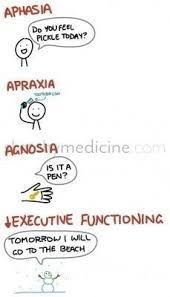 Image result for apraxia occupational therapy