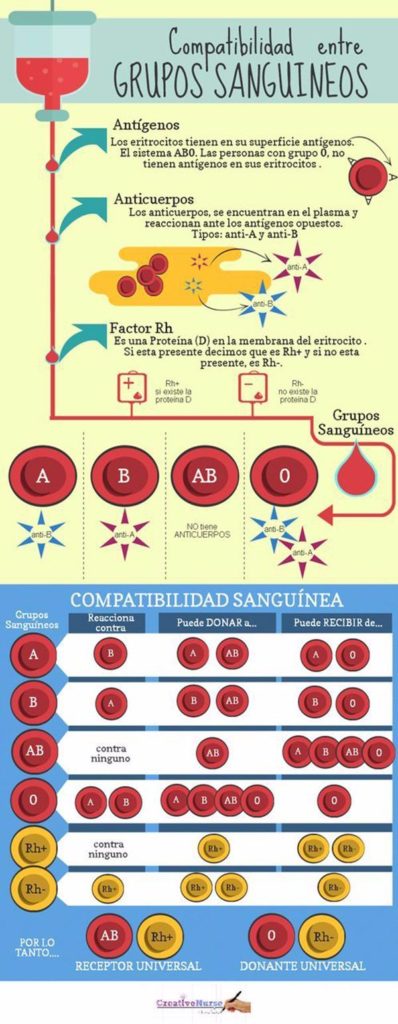 Los grupos sanguíneos. ¿Cuantos tipos de sangre existen