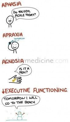 Aphasia, Apraxia, agnosia and decreased executive functioning defined