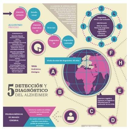 Excelentes Infografías del Alzheimer (Descritas y a tamaño real)