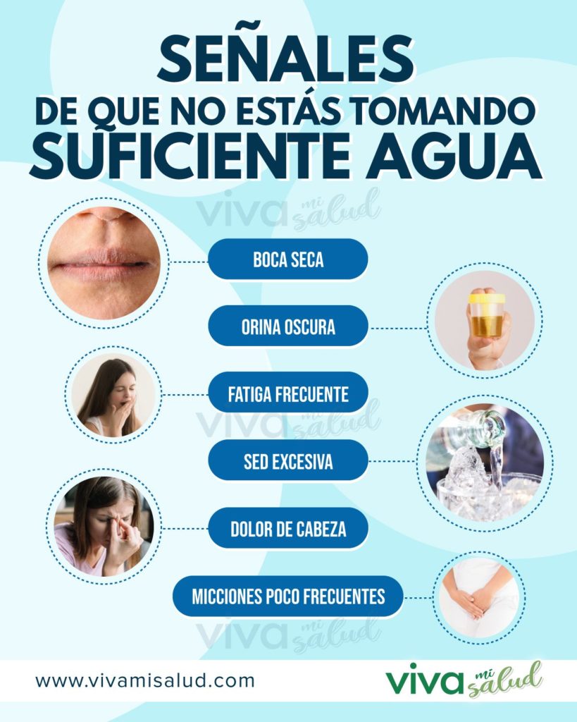 Señales de que no estás bebiendo suficiente agua