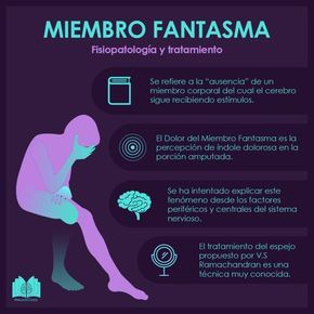 Infografías - NeuroClass