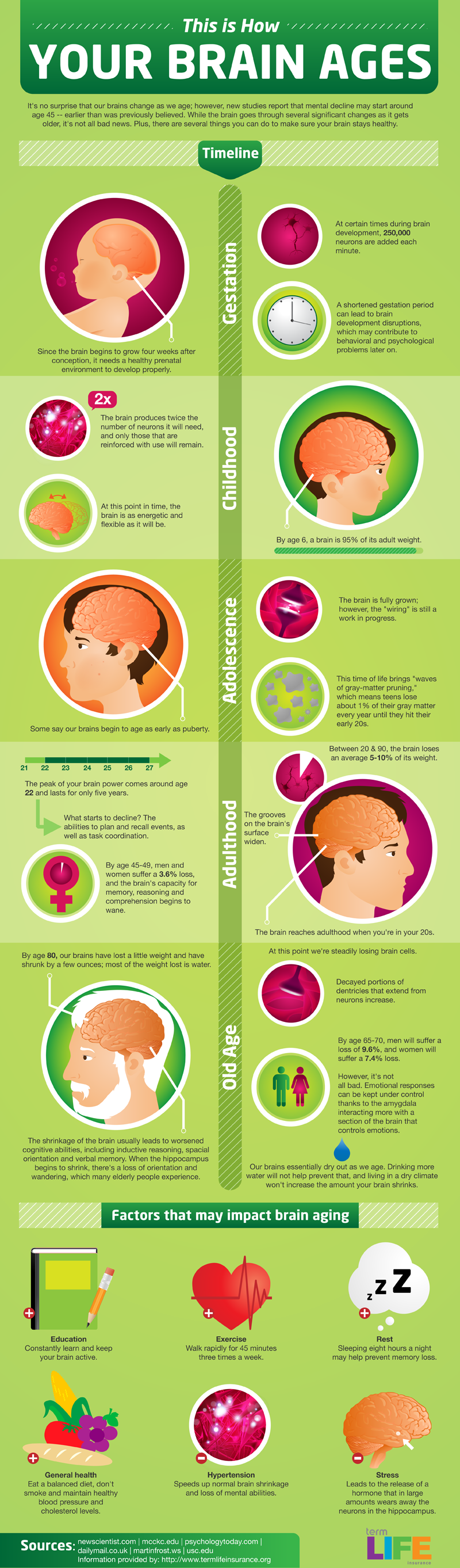 How Your Brain Ages Infographic – #Infografia #Alzheimer #Demencias
