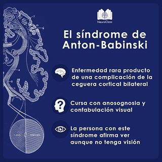 Infografías - NeuroClass