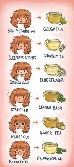 Which tea should you drink? Wonder no more.