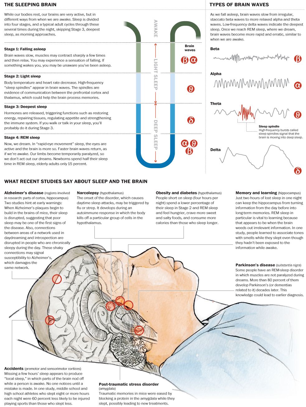 Disease and sleep: Recent studies find new links