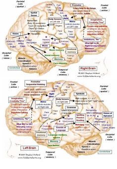 Visual Learning about Lewy Body Dementia