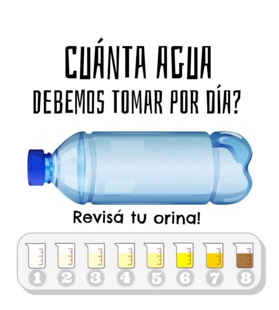 Cuanta agua debemos tomar al dia