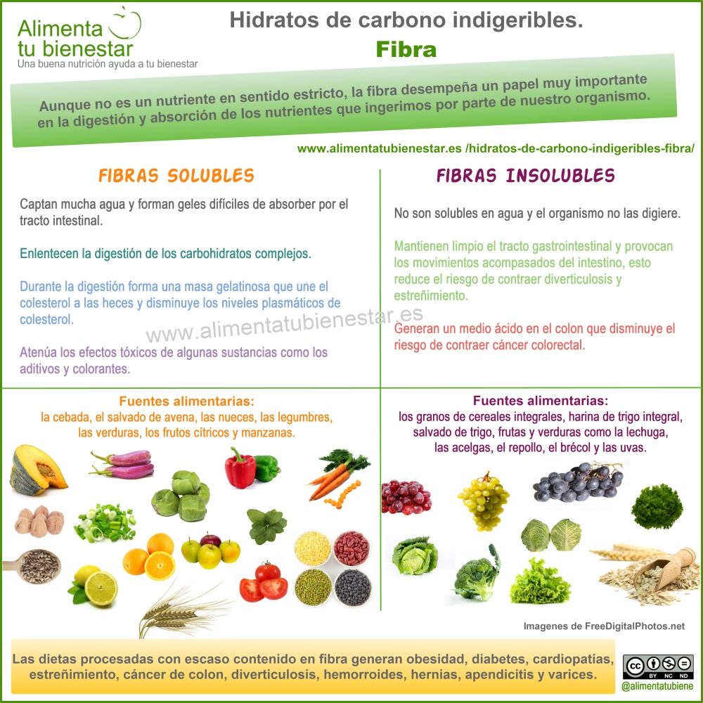 Hidratos de carbono indigeribles: la fibra