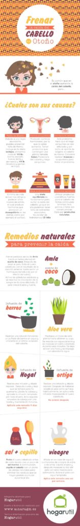 Infografía sobre la caída del cabello en otoño - Hogarmania