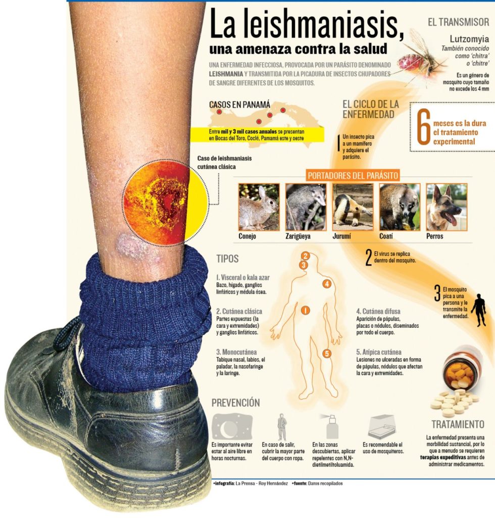 Qué es la Leishmaniasis #infografia #infographic #health