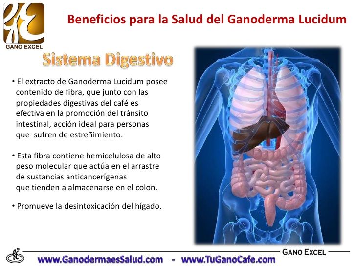 Beneficios del Ganoderma Lucidum en la Salud