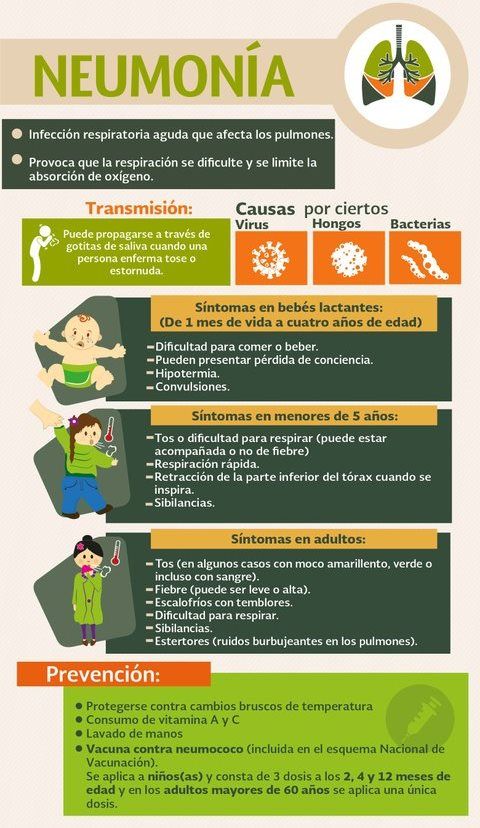 La Neumonía [Infografía]