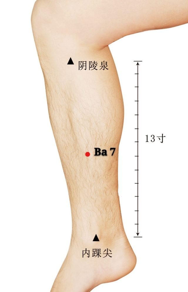 B7 Lougu punto acupuntura del meridiano del bazo