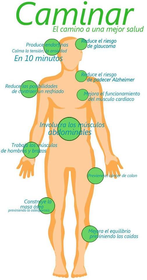 ¡Imperdibles Consejos Para Una Vida Activa Y Súper Saludable!