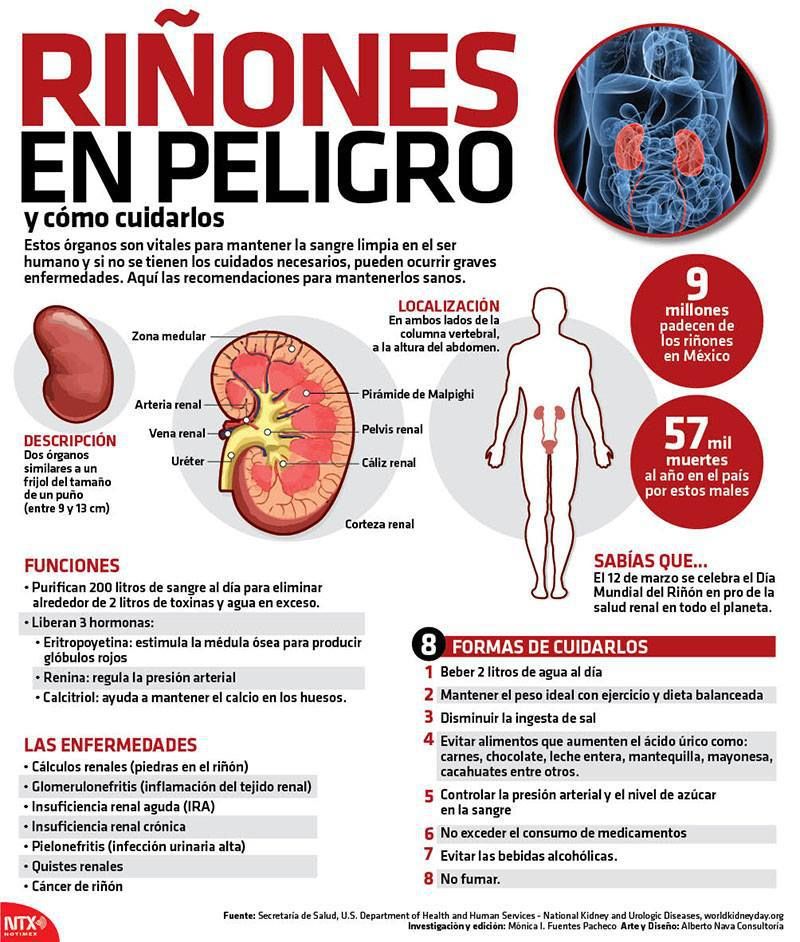 20150314 Infografia Riñones En Peligro @Candidman