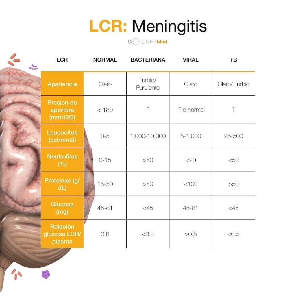 LCR Meningitis