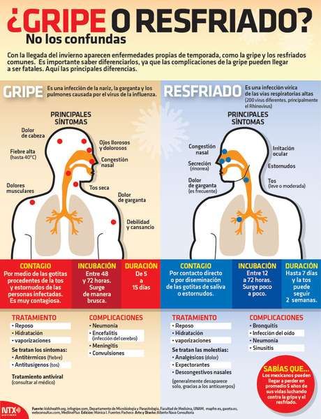 Body Parts Vocabulary Spanish Class Activities