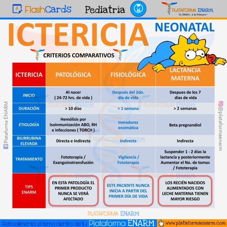 ICTERICIA 🙌