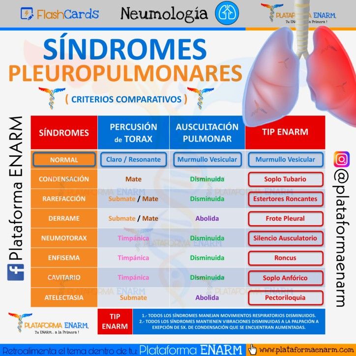 SÍNDROME PLEUROPULMONARES 🩺