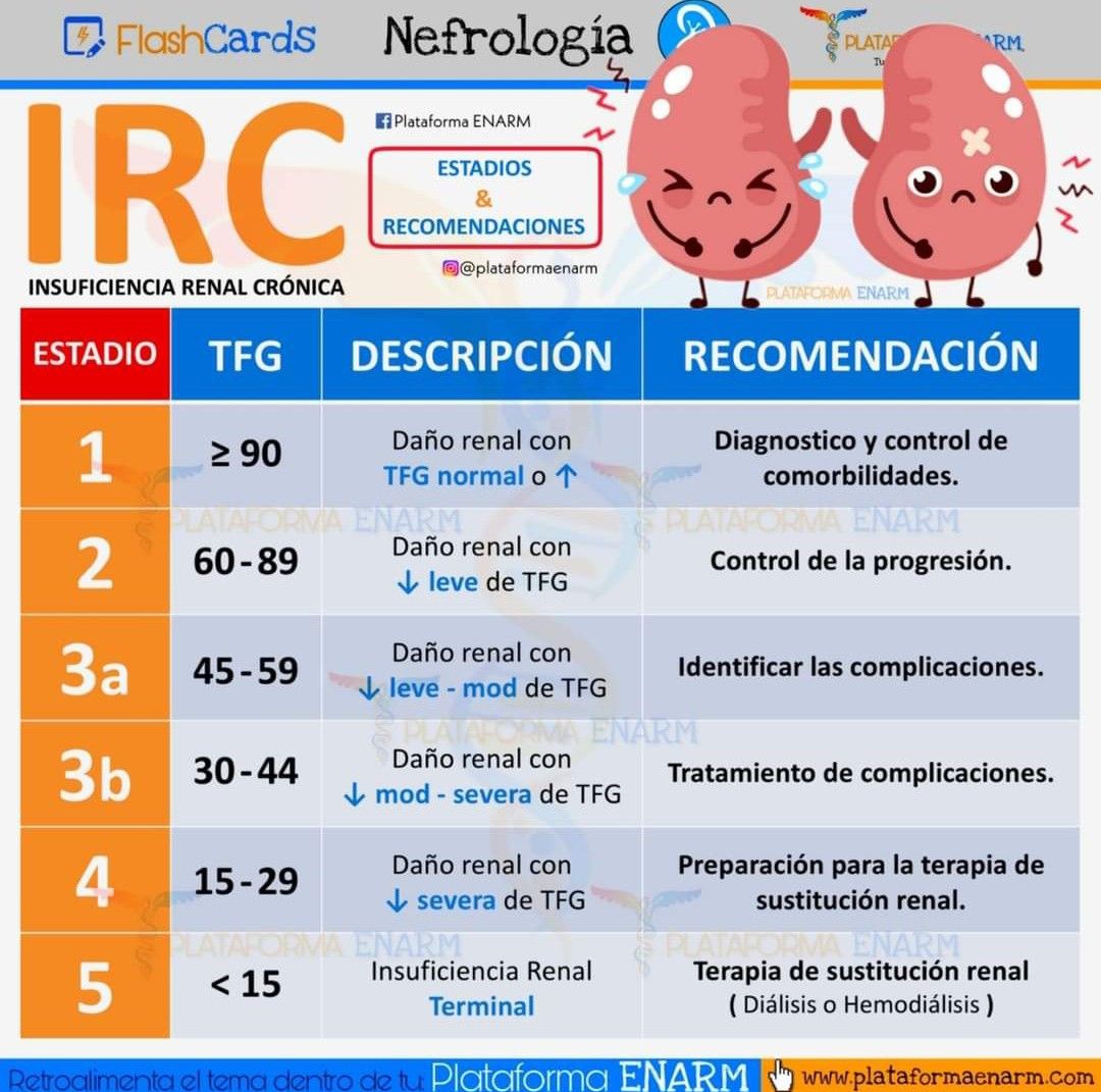 Insuficiencia Renal Crónica