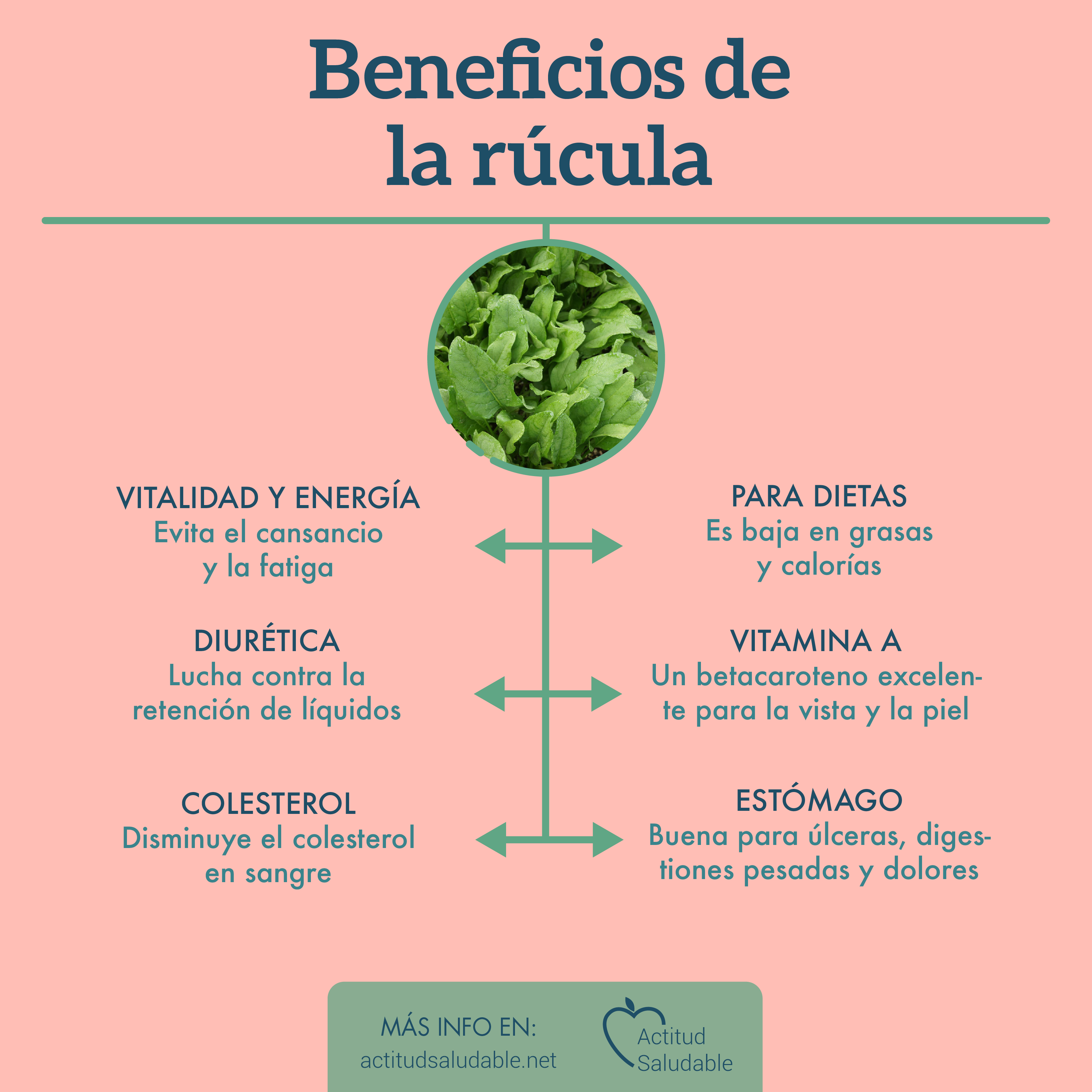 Beneficios de la rúcula