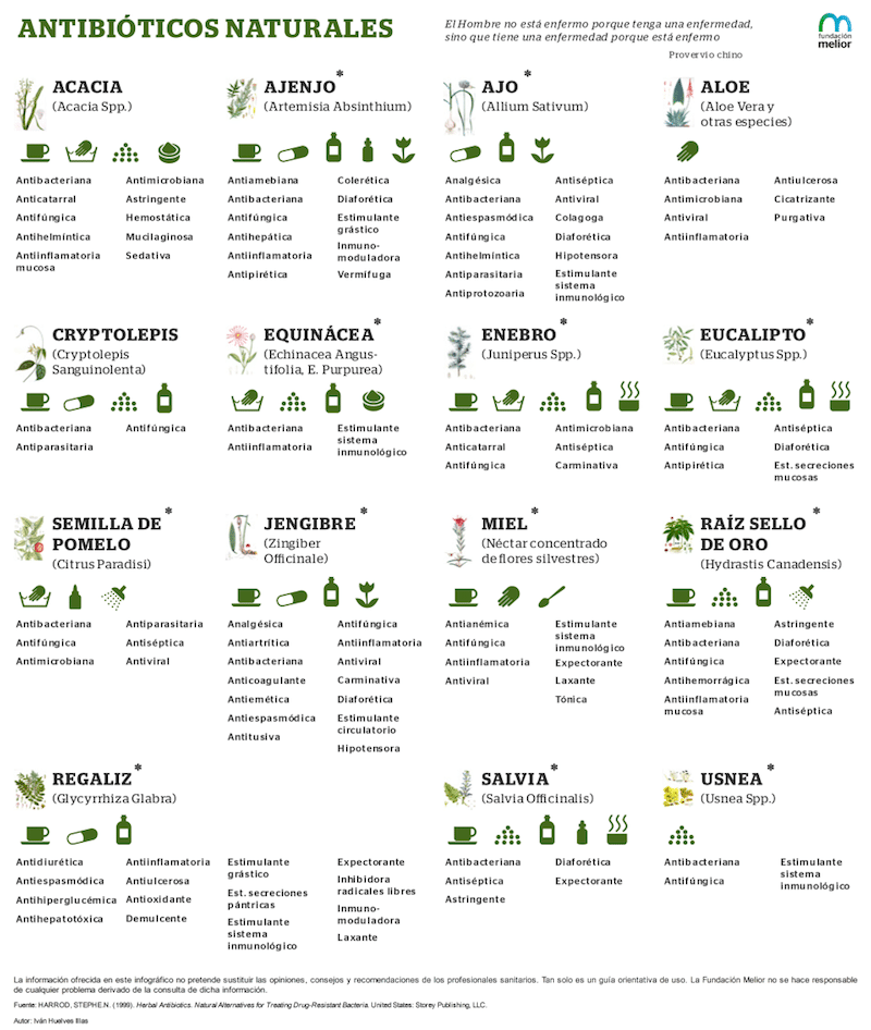 Antibióticos naturales contra cualquier tipo de infección