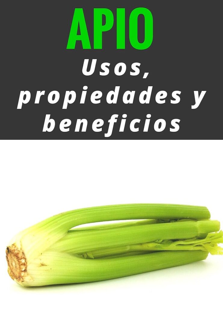 Apio: usos, propiedades y beneficios