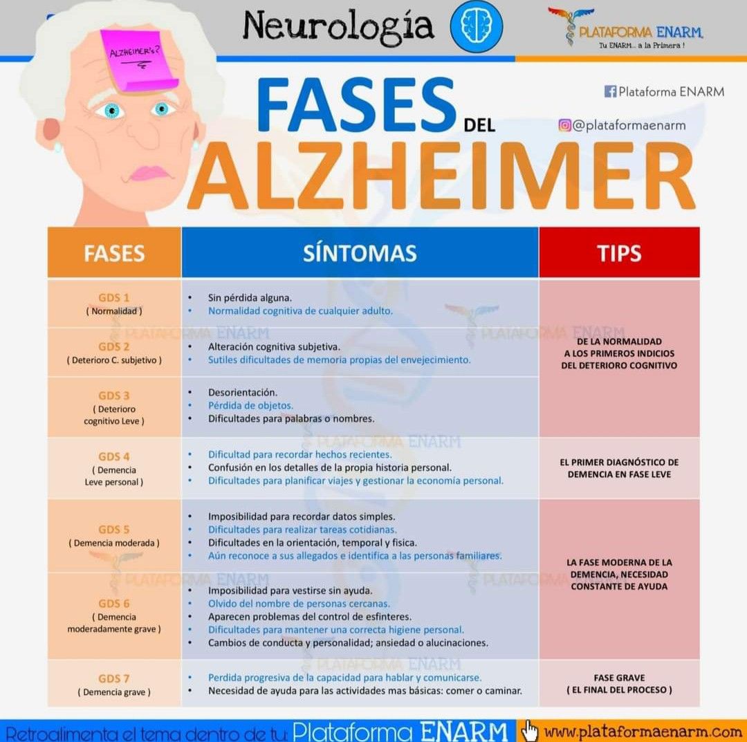 Fases del Alzheimer