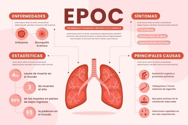 Free Vector | Flat-hand drawn epoc infographic