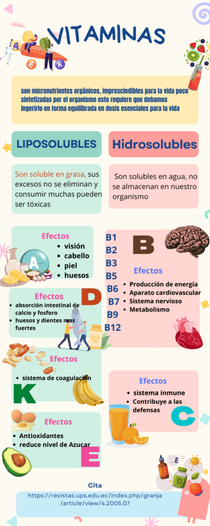 Colorido Suave y Redondeado Infografía Comparativa