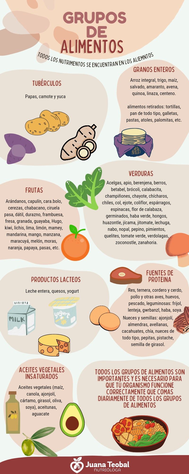 Grupos de Alimentos