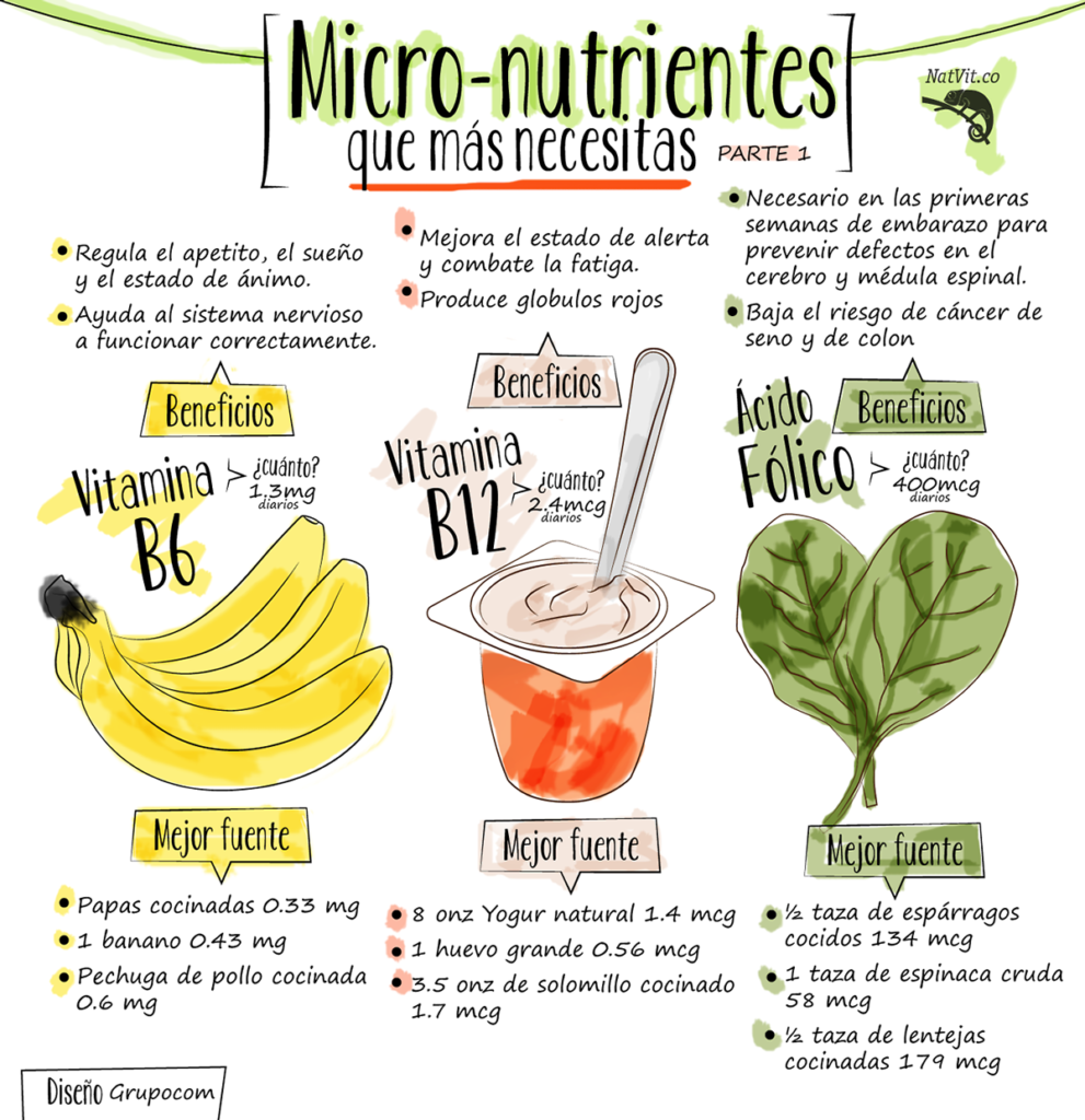 VIda saludable- Healthy life infographics