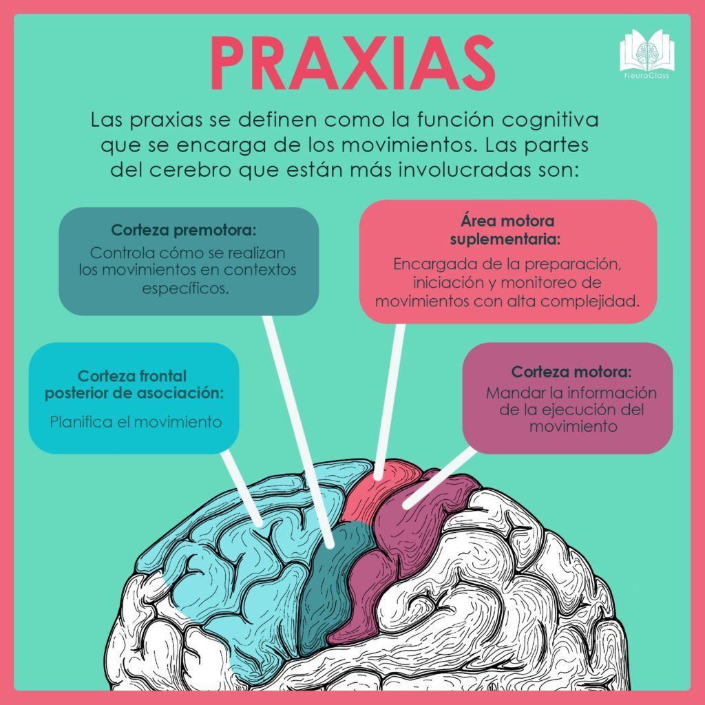 Diagnóstico y tratamiento de la enfermedad de Alzheimer