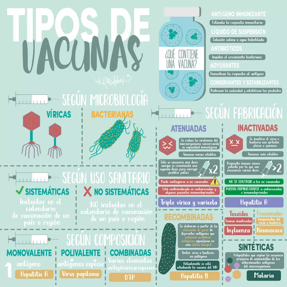 Infografías | nurshibo