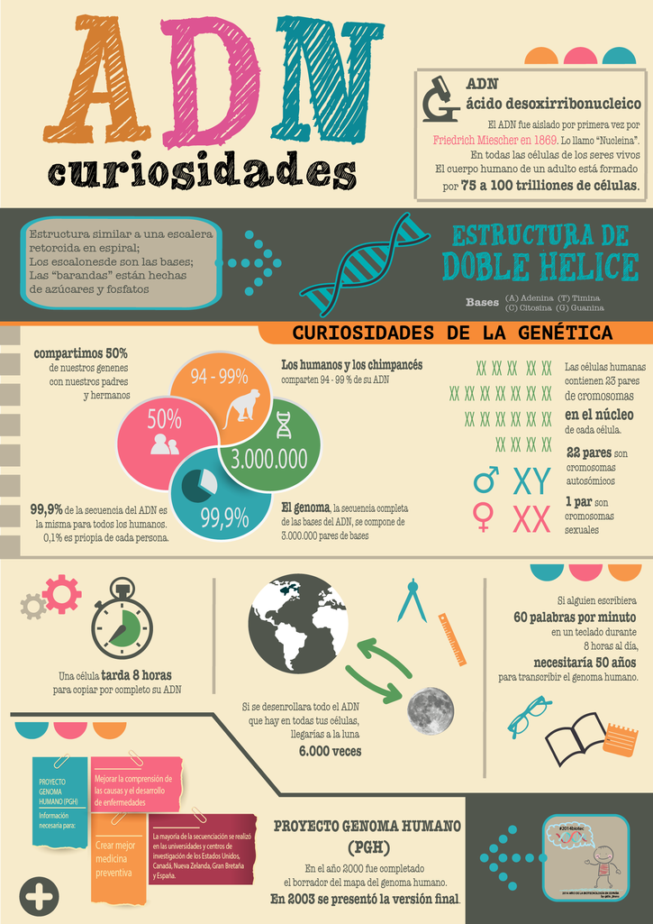 #Infografía: Curiosidades del ADN