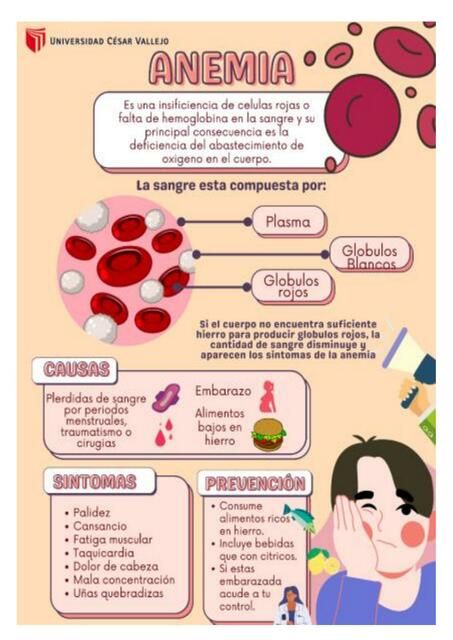 Infografía anemia | Pierina Valverde Paredes | uDocz