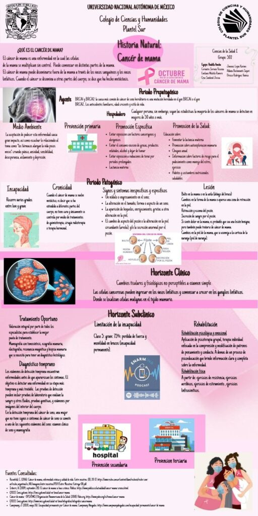 CANCER DE MAMA INFOGRAFIA