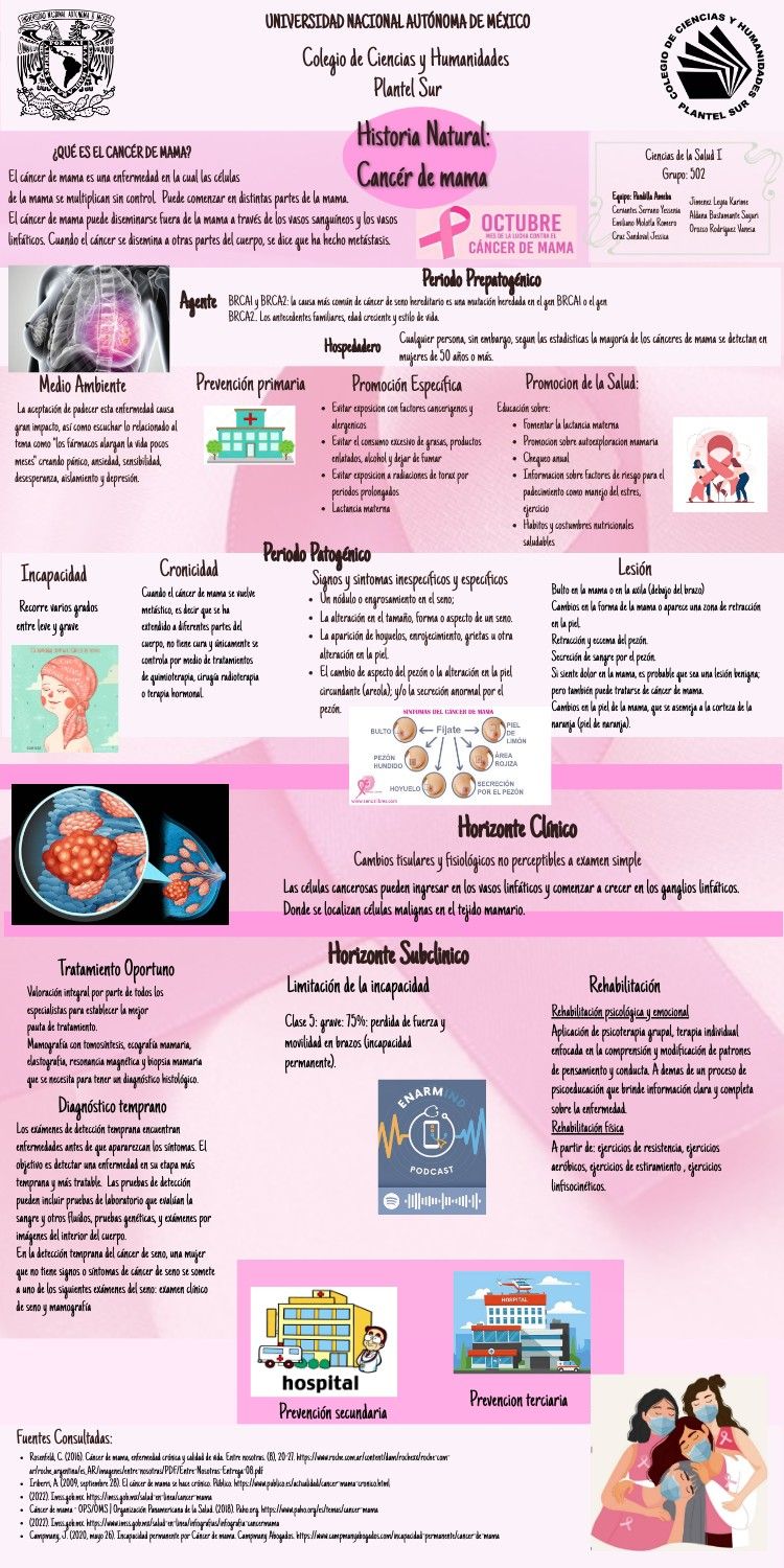 CANCER DE MAMA INFOGRAFIA