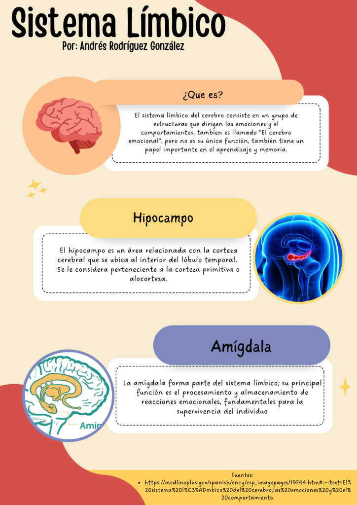 Infografia Sistema Límbicoy sus partes