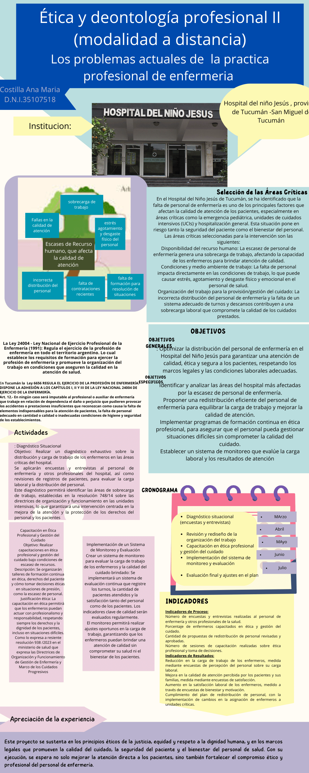 Infografía Salud Mental Ilustrado Azul y Rosa