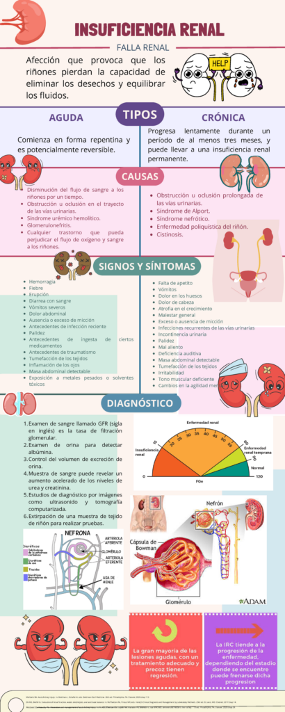 Insuficiencia Renal, Infografía - FALLA RENAL AGUDA TIPOS CRÓNICA CAUSAS Disminución del flujo de - Studocu