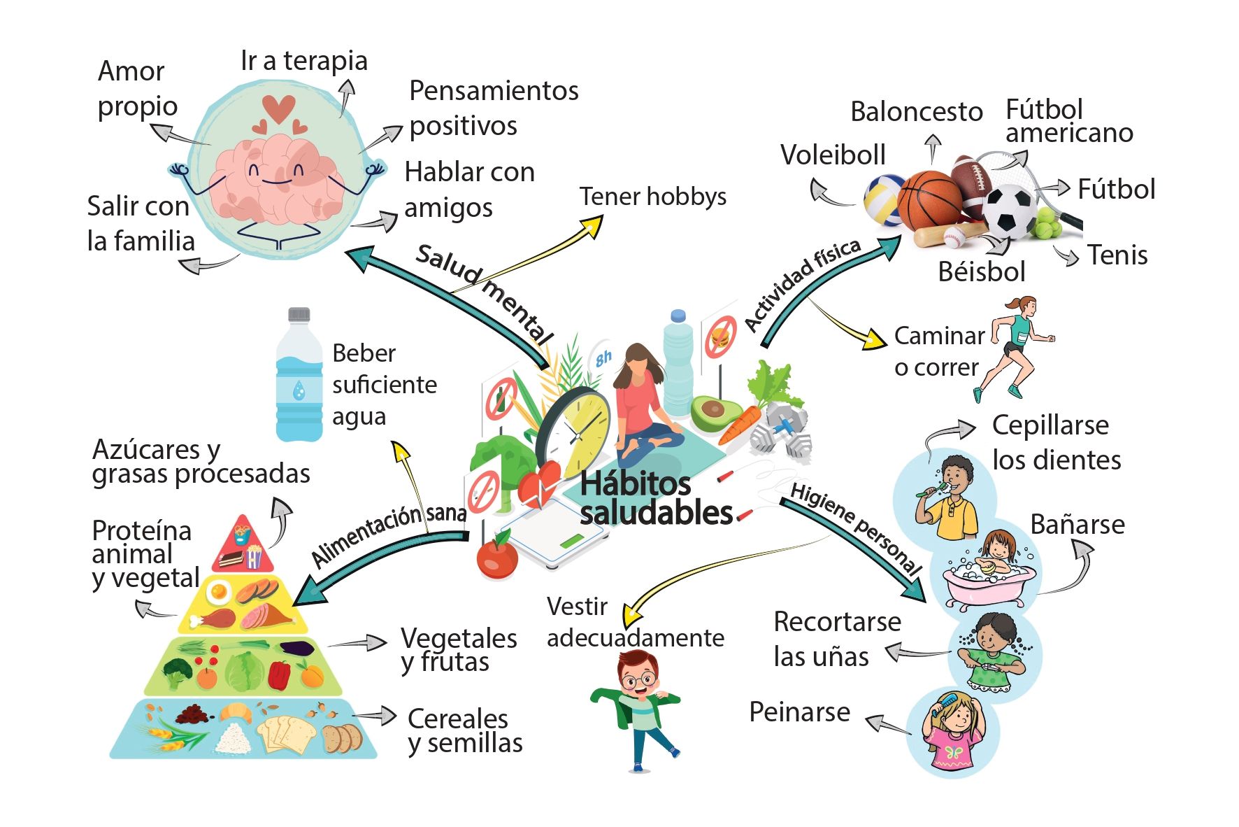 Mapa mental HABITOS SALUDABLES